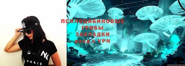 молекула духа Алзамай