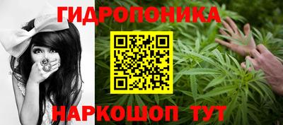 спиды Лесосибирск