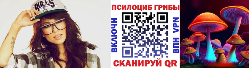 купить наркоту Родники Псилоцибиновые грибы Cubensis
