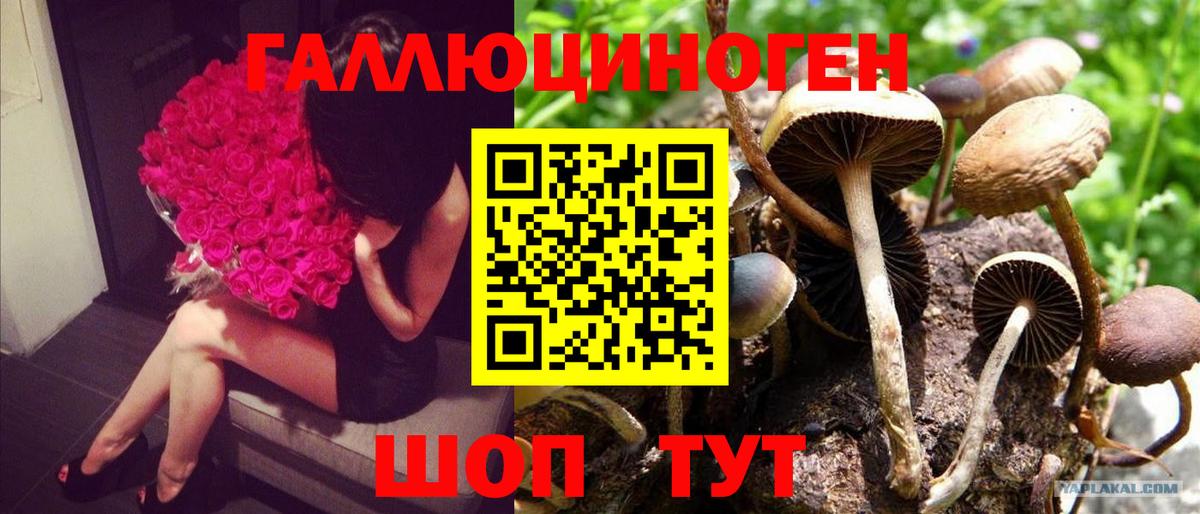 Галлюциногенные грибы Magic Shrooms Родники